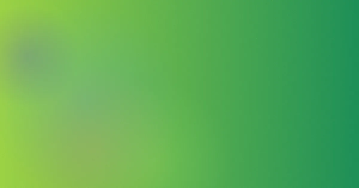 爱情鸟攻略：常见问题全解
